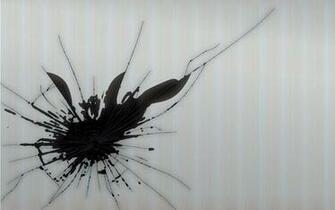 Cracked Screen2