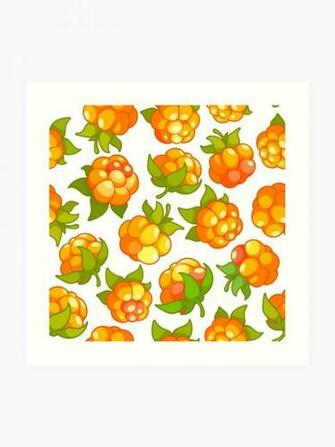 Pattern With Cloudberries On A White Background Art Print By