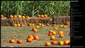 Mlewallpaper Pumpkins Corn And Hay Calendar
