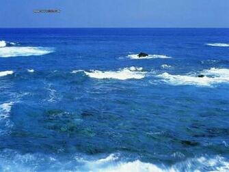 Summer Nature Photography Beach Wallpaper Scene