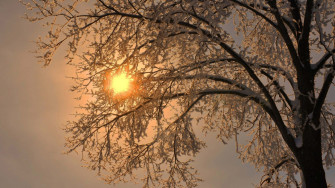 Simple Winter Wallpaper