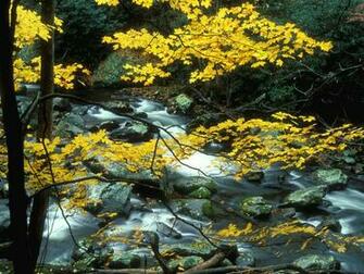 Desktop Wallpaper S Nature Huge Collection Of Amazing