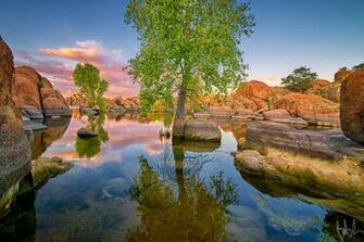 Signs Of Life Photo By Bob Larson Pixdaus