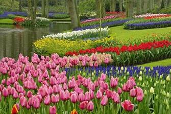 Spring Garden Keukenhof Gardens The Netherlands