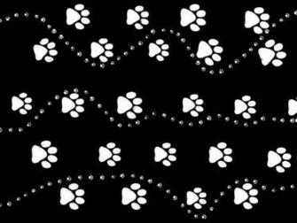 The Boot Kidz Paw Print Patterns Edit
