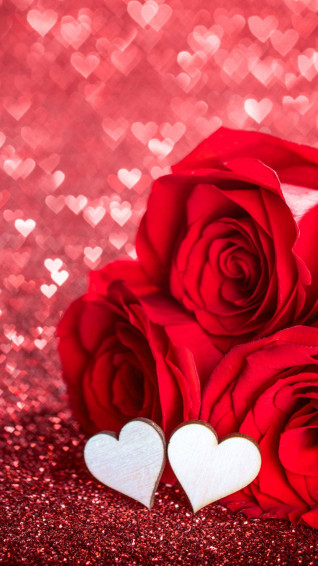 Love Roses Wallpaper