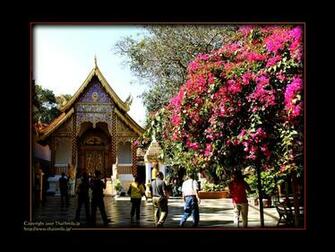 Chiangmai Wallpaper