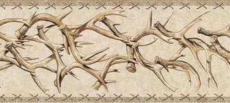 Picture Shows The Full Repeat Of Border What You See Is