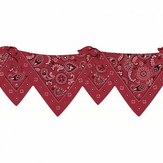 Red Bandana Border