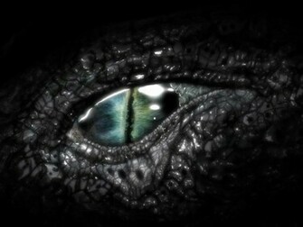 Dragon Eye Pictures All Wallpaper New