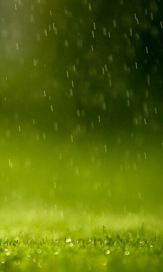 Windows Phone Wallpaper Nature