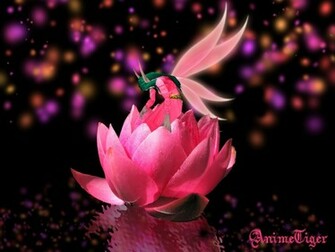 All Pink Fairy Background Image Pics Comments Covers