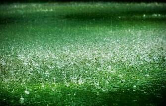 Rain Desktop Wallpaper Beautiful