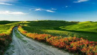 Italy Scenery Field Road Tuscany Shrubs Nature Wallpaper Background