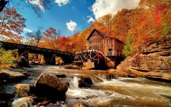 Autumn Forest Landscape Wallpaper