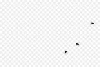 Black Line Background Png Transparent
