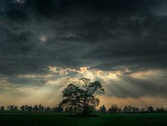 Summer Storm Wallpaper Widescreen
