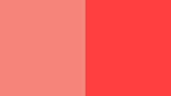 Plain Coral Pink Colour Background Design A Nice Warm Shade Of