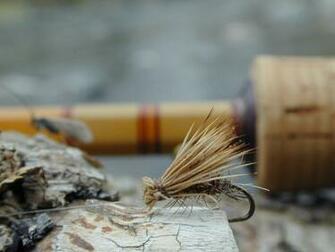 Pin Fly Fish Wallpaper HD And Background