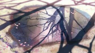 Makoto Shinkai Wallpaper Centimeters