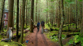 Cyclist Dog House Hiker Bruce Trail Blaze Poison Ivy Trilliums Garbage