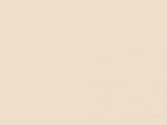 Color Your World Almond Jennifer Nichole Wells