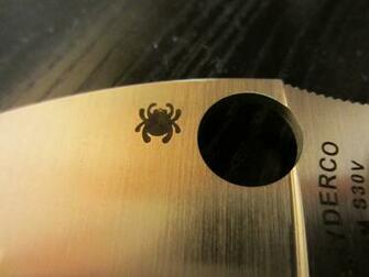 Best Spyderco Wallpaper Knife