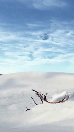 Winter Wallpaper iPhone