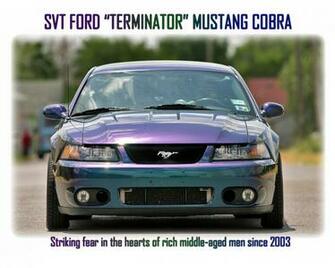 Mystichrome Cobra Pictures Photos Mustang