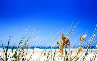 Clear Beach Sky Wallpaper HD