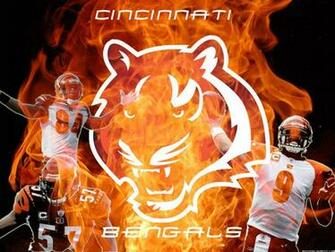 Cincinnati Bengals