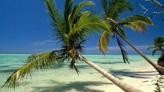 Wallpaper Desktop Beach Republic Punta Dominican Indies Background