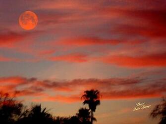 Sunset In The Desert Sherri Of Palm Springs Jpg