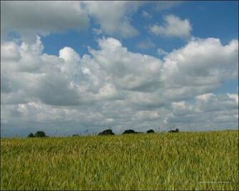 Wallpaper Landscape Background