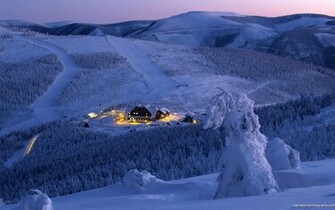 Snow Scenes Wallpaper