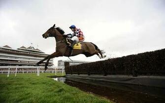 Horse Racing Computer Wallpaper Desktop Background Id