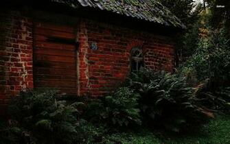 Old Brick House In The Forest Wallpaper World