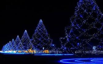 Christmas Wallpaper Blackberry Wallpaper9