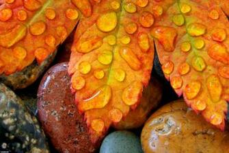 Autumn Country Desktop Wallpaper HD Background