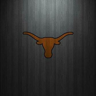 Texas Longhorn 1080p 2k 4k 5k HD Wallpaper