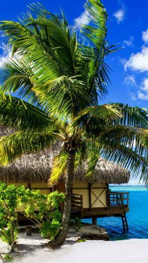 Wallpaper Maldives 4k HD Holidays Vacation Travel