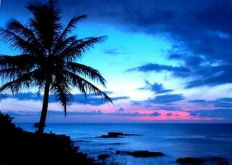 Tropical Sunset Wallpaper Zoom