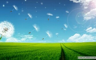 Laptop Wide Screen Nature Summer Scenery Wallpaper