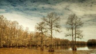 File Name High Quality Swamp Wallpaper Full HD Pictures
