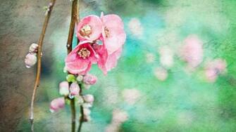 Vintage Spring Wallpaper Flowers