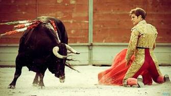 HD Wallpaper Bull Fighting