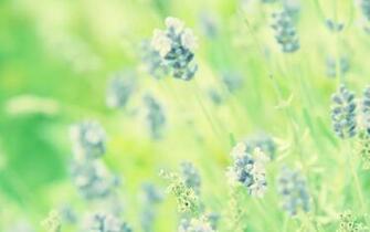 Select Rating Give Pastel Flower Background