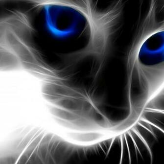 Abstract Animals Cat Wallpaper Full HD
