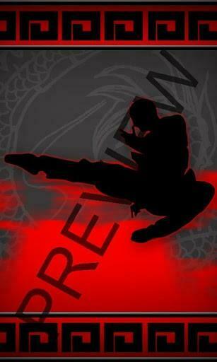This Karate Kick Zen Wallpaper Android Background