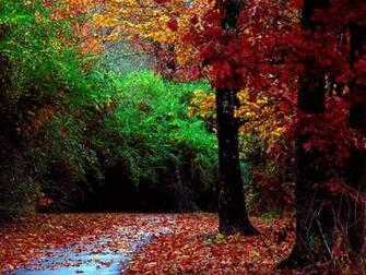 Beautiful Autumn Season Wallpaper HD Nice